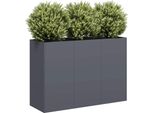 Maison Exclusive - Vaso Per Piante Antracite 120X40X80 Cm Acciaio Laminato A Freddo