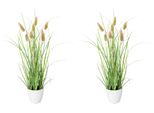 Kunstgras Creativ Green "Grasbusch Lagurus", GrüN, H:40Cm Ø:12Cm, Kunststoff, Kunstpflanzen