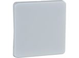 Bilanciere Elso Rw F. Pulsante/Interruttore 213604