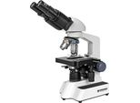 Bresser Optics Researcher Bino, Microscopio Digitale, Nero, Bianco, 1000X, 40X