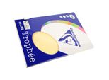 Clairefontaine 4106C Clairefontaine Kopierpapier TrophéE Chamois Din A4 80 G/Qm 100 Blatt