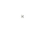 Btr Netcom 130B12D21002-E Presa RJ-45 Bianco