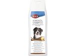 Olio Di Cocco Shampoo