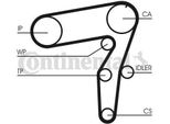 Set Di Cinghie Dentate Contitech CT968K2