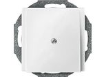 Merten 295619 Uscita Cavi Dalla Piastra Centrale, Bianco Polare, Sistema M