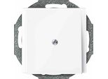 Merten 296325 Piastra Centrale Uscita Cavi, Bianco Attivo Lucido, Sistema M