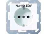 Jung Presa Di Corrente 1F Aws Glz AS500/A500 Up IP20 Zp