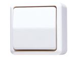 Jung 606 A Ww Interruttore Luminoso Bianco (606AWW)