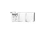 BUSCH-JAEGER Presa 3F Aws Mt Ocean Ap W.Erh.Bs Orizzontale