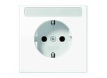 Jung Presa Di Corrente 1F Aws Glz LS990 Up IP20 Bsf Zp