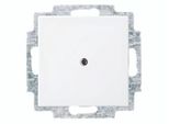 Busch-Jaeger Disco Centrale Cieco Con Anello Di Supporto Busch-Balance Si 2CKA001715A0319 2538-914