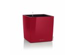 Fioriera Lechuza Cube Premium 40 Scarlet Red High Gloss | Fioriera Con Sistema Di Irrigazione | Superficie High Gloss | 39 X 39 X 40 Cm | 16367