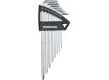 Topak Set Di Chiavi Torx Chiave Torx
