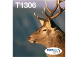 Epson Stag T1306 Cartuccia D'inchiostro 3 Pz Originale Resa Elevata (Xl) Ciano, Magenta, Giallo