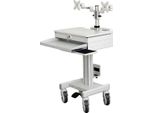Roline Postazione Mobile Pc/Lcd, Regolabile In Altezza