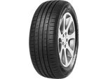 Minerva F209 ( 195/55 R16 87H )