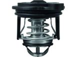 Termostato Inserto Filtro Refrigerante Mahle Per Ford Fiesta Vi