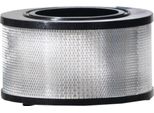 Nilfisk Filtro Hepa Classe Di Polvere H/H13 Aspirapolvere Industriale