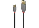 Lindy 0,5 M Di Cavo Usb 2.0 Tipo A-C, Linea Anthra