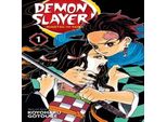 Demon Slayer: Kimetsu No Yaiba, Vol. 1