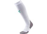 Puma Uomo Calcio Liga Core Calzini Uomo Calzini Bianco Verde Taglia 5 (47-49)