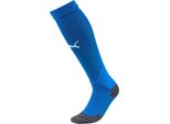 Puma Uomo Calcio Lega Calzini Uomo Calzini Blu Bianco Taglia 2 (35-38)