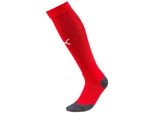 Puma Uomo Calcio League Calzini Uomo Calzini Rosso Bianco Taglia 3 (39-42)