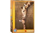 Eurographics Puzzle Del Bacio Della Giraffa 1000 Pezzi