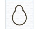 Guarnizione Del Collettore Di Aspirazione Renault Kangoo 09-
