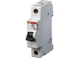Interruttore Stotz S&J K,6Ka,32A,1P S201-K32