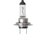 Lampadina Per Auto 24V 70W Px26D H7 In Scatola
