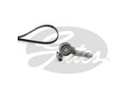Set Di Cinghie Con Nervatura A V Gates K015PK1335