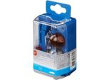 Kit Lampadine Di Ricambio H7 7 Pezzi (21W Ambra)