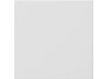 Coperchio Cieco Rws Senza Anello Di Supporto - Accessori Per Quadri Domestici 810803