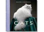 Walter Chandoha. Gatti. Fotografie 1942-2018