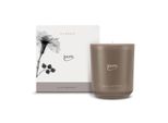 Candela Profumata Ipuro Classic Cachemire 270 G