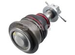 Giunto Sferico Swag Anteriore Sinistro Destro Per Nissan Almera Tino (V10) 82 94 2674