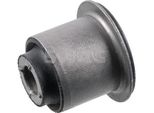 Cuscinetto Manubrio Per Renault Duster (Hs) Anteriore Sinistro Inferiore Anteriore Destro 60 93 7675 Swag