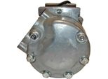 Compressore Aria Condizionata Mahle Acp 117 000S