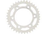 Pignone Rk 520 41T Acciaio Argento