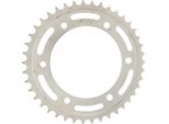 Pignone Rk "5631"" 525, Acciaio, Argento 42 Denti"