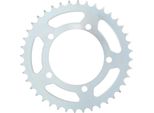 Pignone Rk "5452"" 525, Acciaio, Argento 43 Denti"