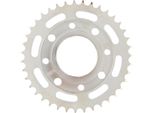 Pignone Rk 428 47T Acciaio Argento