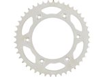 Pignone Rk 520 48T Acciaio Argento