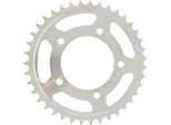 Pignone Rk 520 39T Acciaio Argento