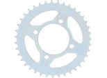 Pignone Rk 428 45T Acciaio Argento