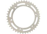 Pignone Rk 520 47T Acciaio Argento