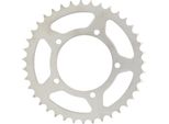 Pignone Rk 520 43T Acciaio Argento