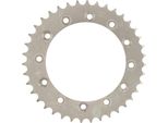 Pignone Rk 520 41T Acciaio Argento