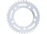 Pignone Rk 530 39T Acciaio Argento